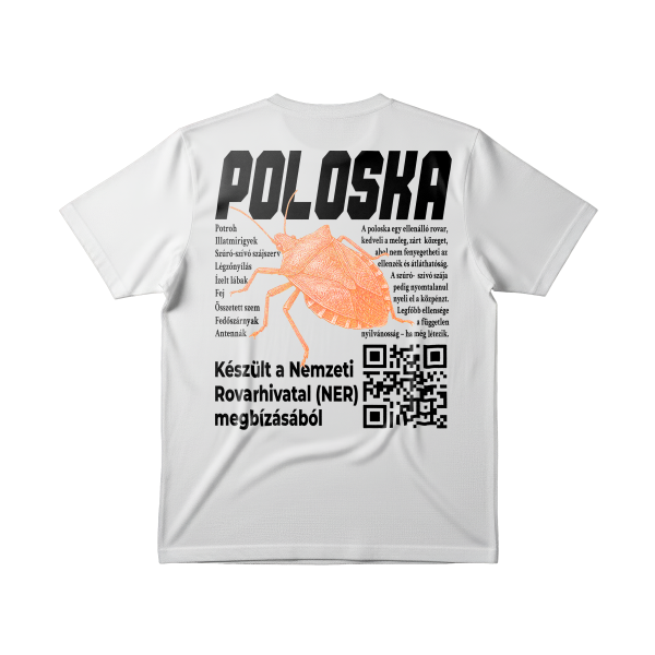 PÓLÓ 1