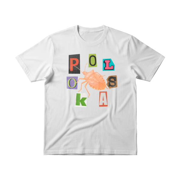 PÓLÓ 8